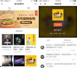 娱乐吃瓜音频在线听小说,跟随耳朵探索小说世界的奇妙旅程