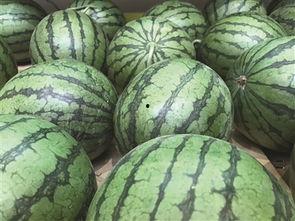 娱乐吃瓜酱地瓜,揭秘娱乐圈那些鲜为人知的幕后故事