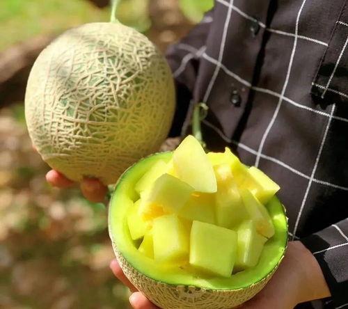 吃瓜娱乐类,揭秘明星幕后故事与八卦趣闻