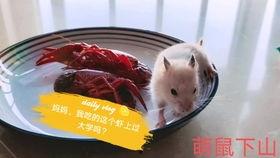 吃瓜娱乐背景板