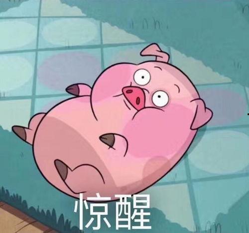 肥猪猪娱乐吃瓜酱,揭秘娱乐圈那些不为人知的幕后故事