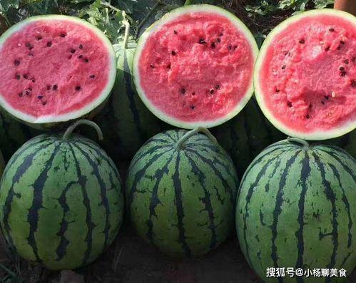 娱乐吃瓜酱碗为什么不碎,揭秘“娱乐吃瓜酱碗不碎”背后的神奇现象