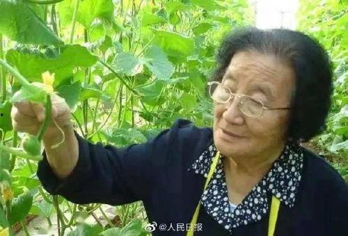 娱乐吃瓜酱碗为什么不碎,揭秘“娱乐吃瓜酱碗不碎”背后的神奇现象