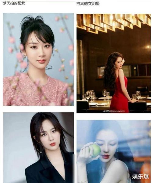 娱乐吃瓜摄影师,娱乐八卦镜头下的师生风采