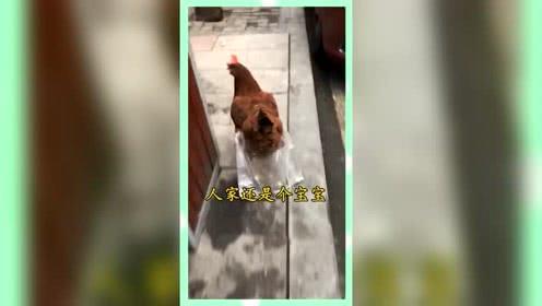 娱乐至死的吃瓜群众,揭秘娱乐至死时代的集体窥私欲