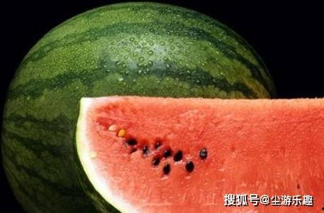 娱乐吃瓜酱西瓜,网络流行语背后的娱乐文化现象