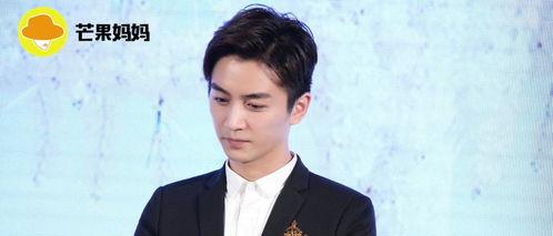 娱乐陈晓吃瓜,娱乐圈的“瓜田”再起波澜